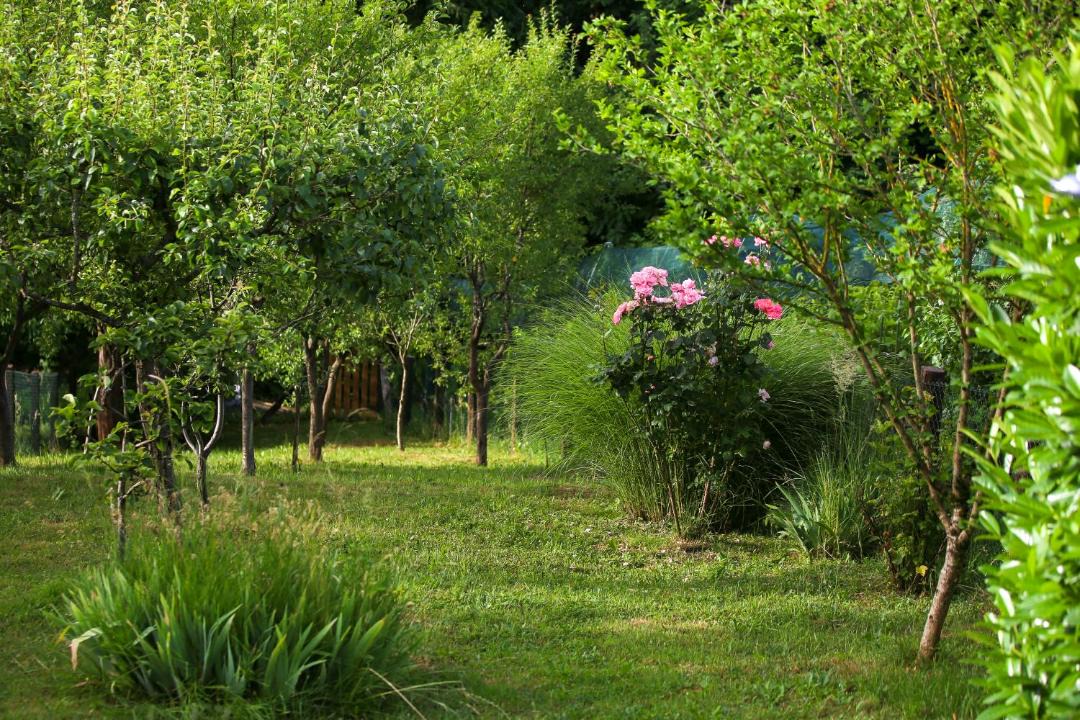 Photo of Outdoor in Velika Gorica