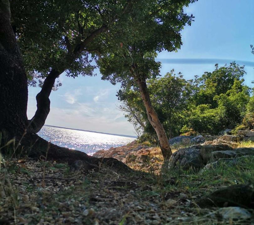 Photo of Outdoor in Starigrad