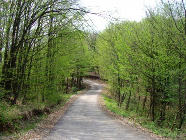 Photo of Others in Banja Luka