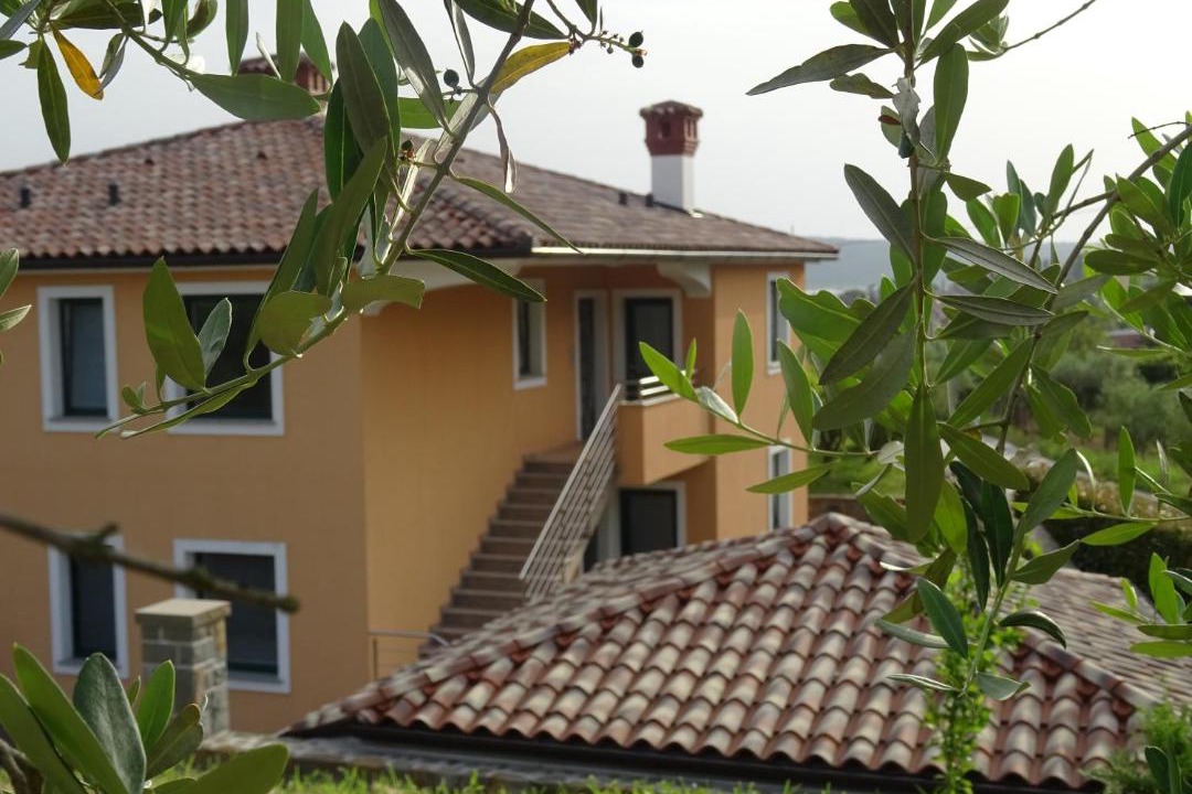 Photo of Others in Secovlje