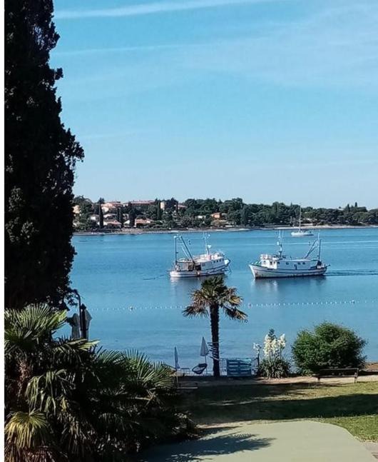 Photo of Outdoor in Karigador