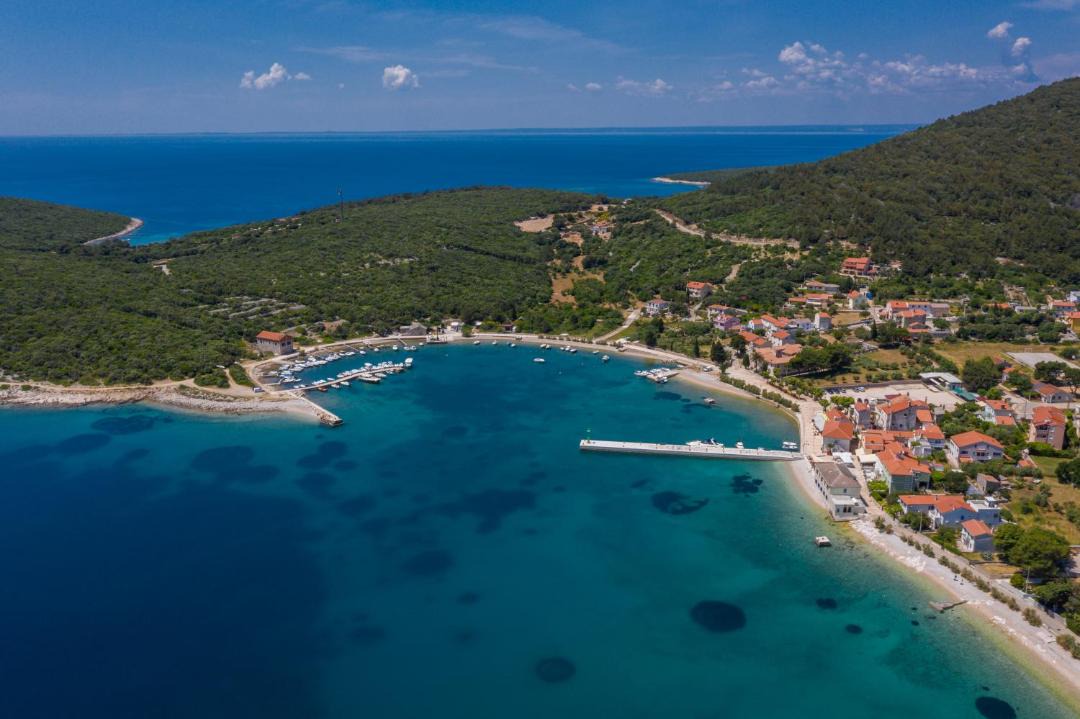 Photo of Others in Martinscica