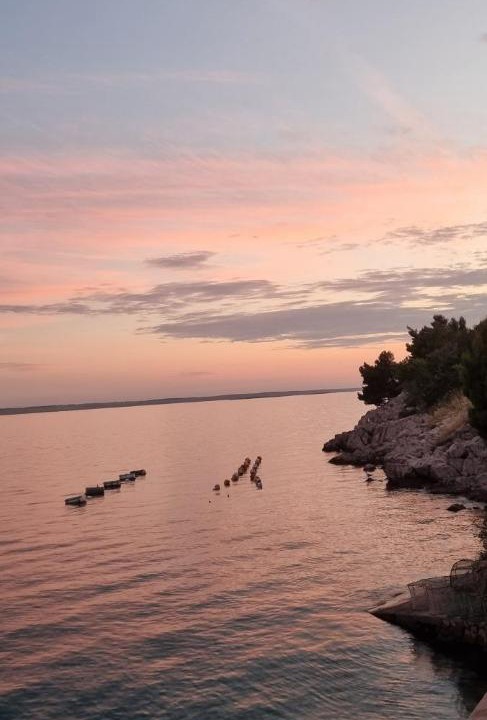 Photo of Others in Starigrad