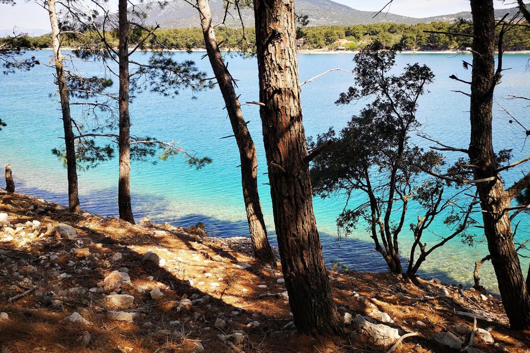 Photo of Others in Cres