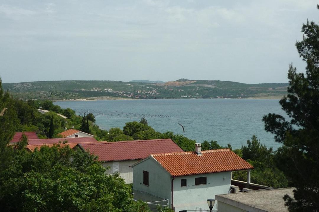 Photo of Others in Seline