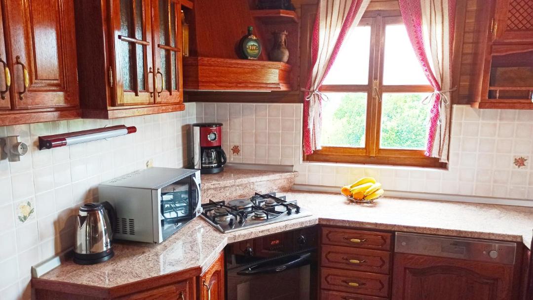 Photo of Kitchen in Hrascina