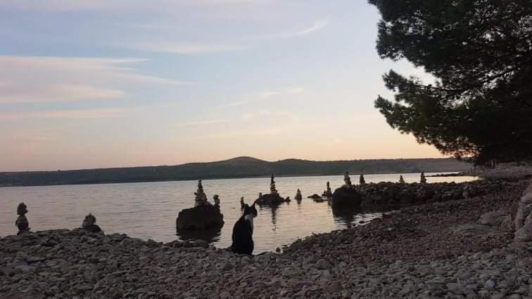 Photo of Outdoor in Posedarje