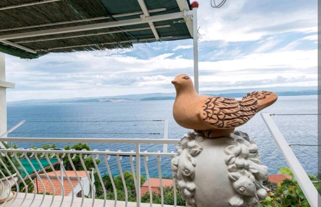 Photo of Patio Balcony in Stanici