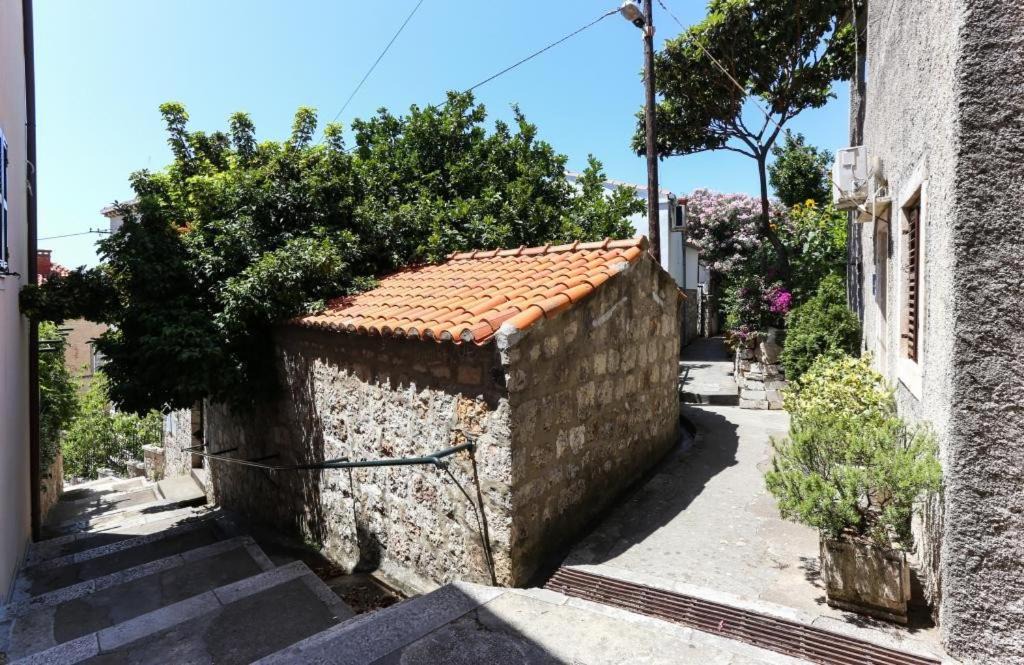 Photo of Others in Ploce