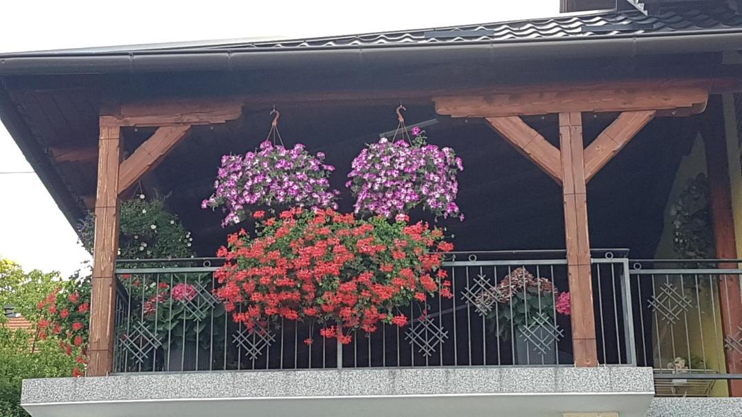 Photo of Others in Krapinske Toplice