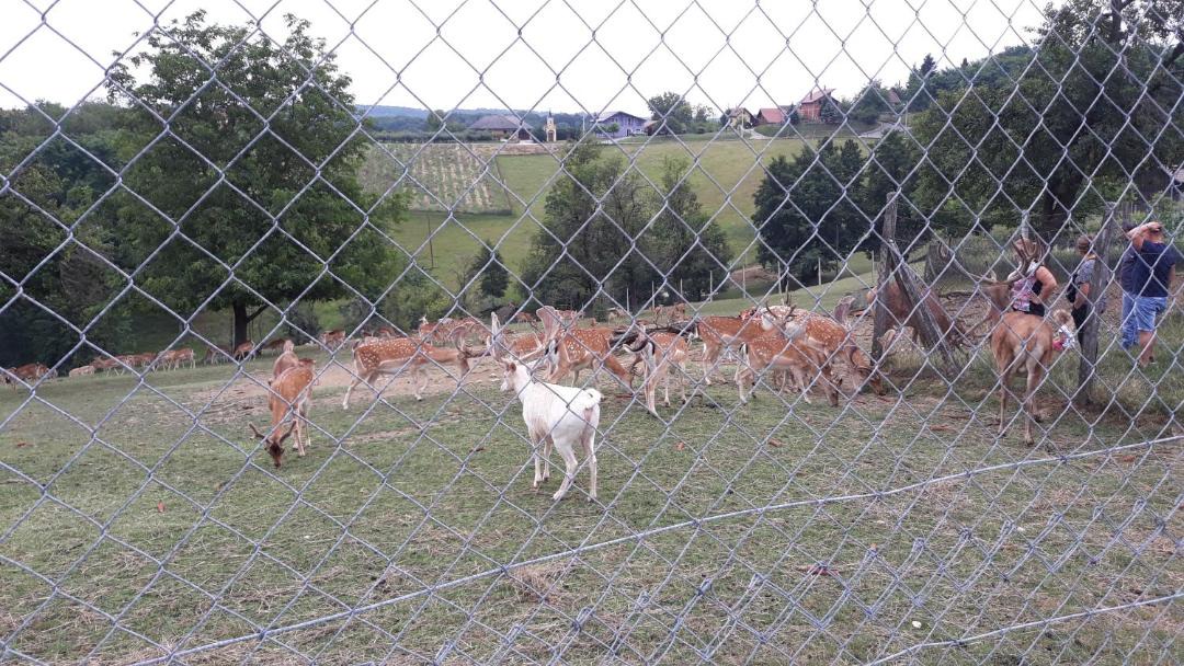 Photo of Others in Grabrovnik
