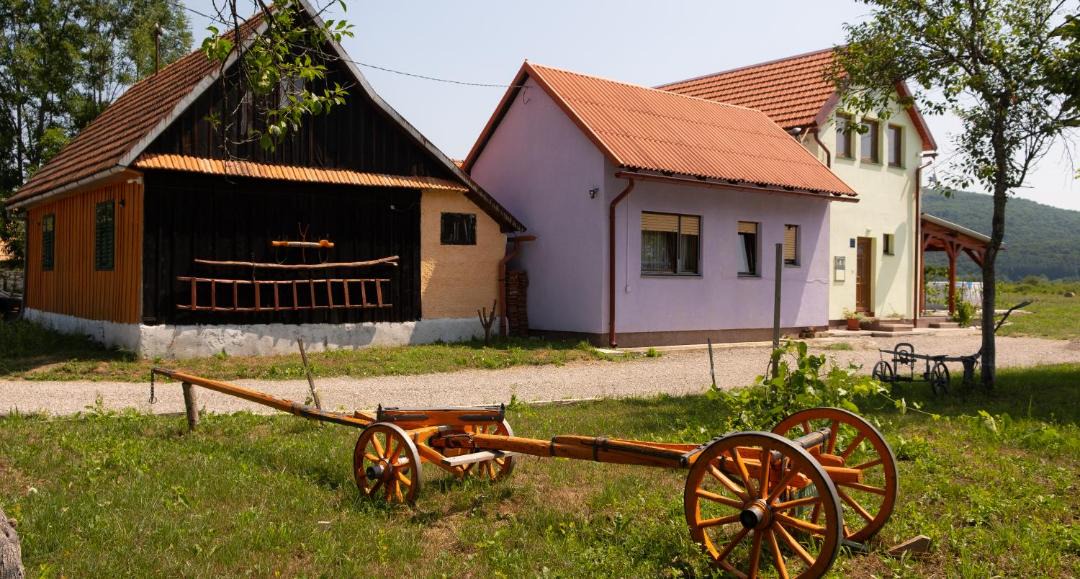 Photo of Others in Plaski