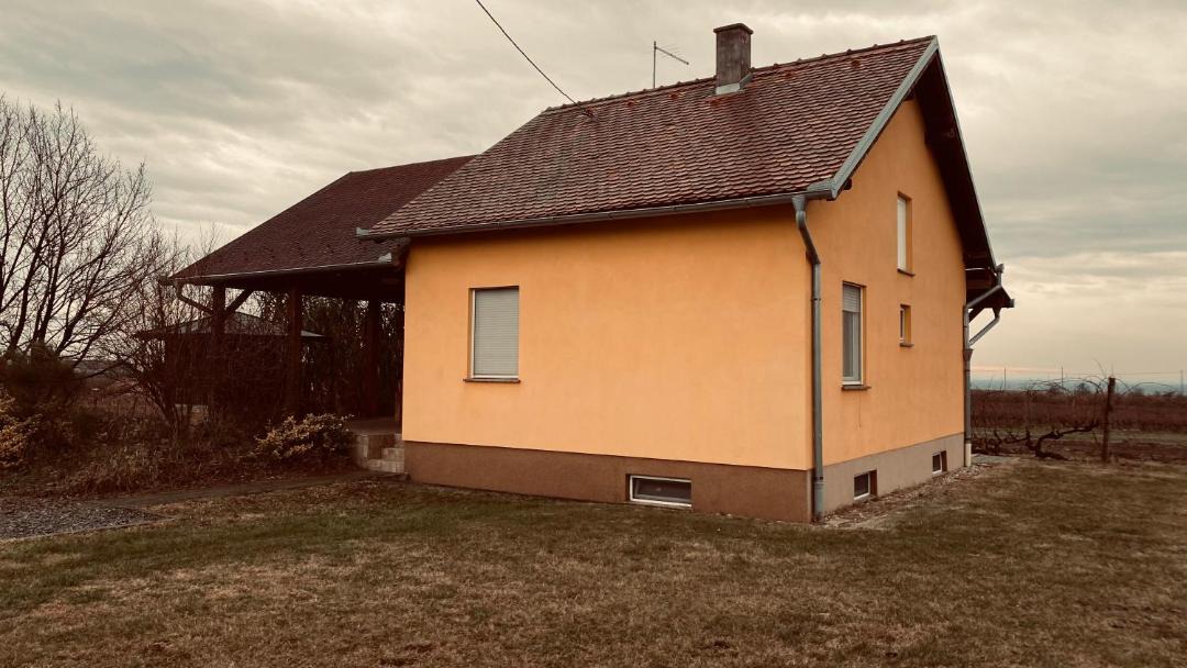 Photo of Others in Erdut