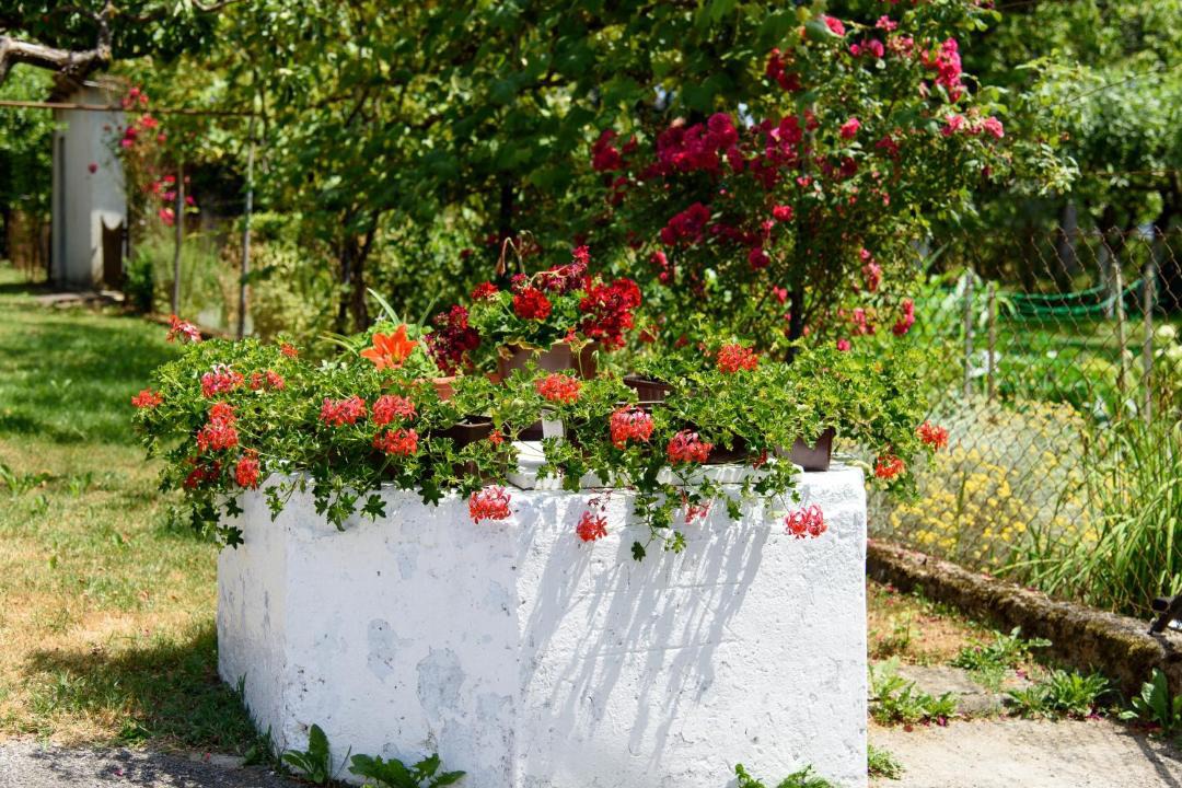 Photo of Others in Sveti Kriz Zacretje