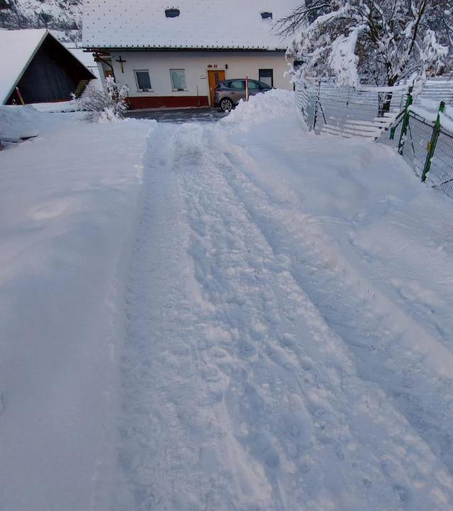 Photo of Others in Mojstrana
