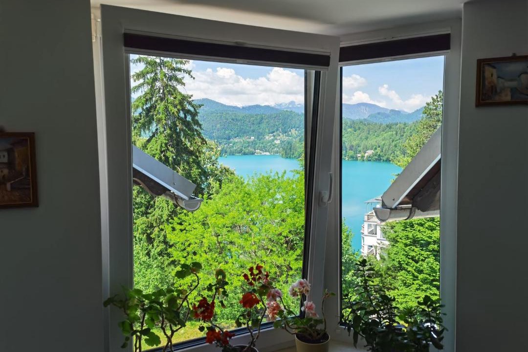 Photo of Others in Bled