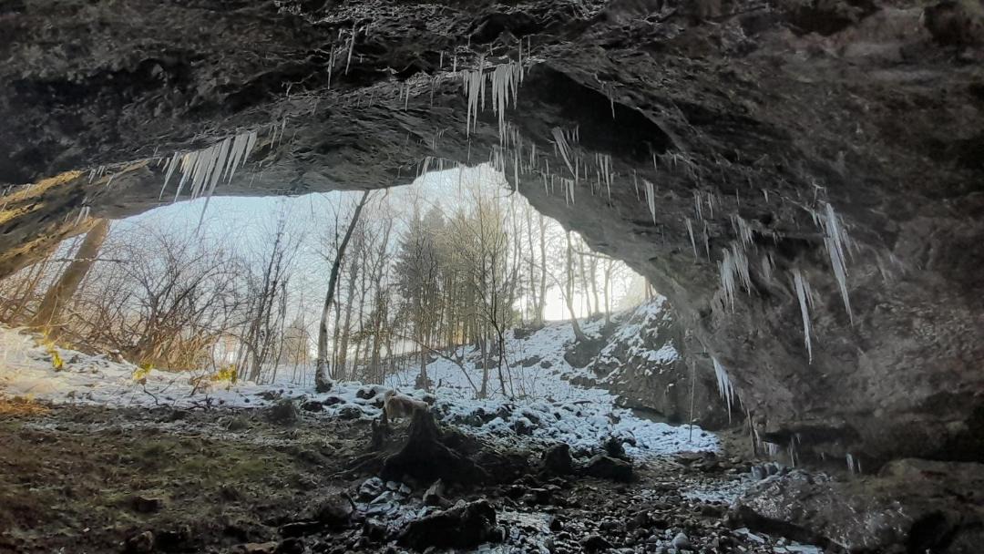 Photo of Others in Ogulin