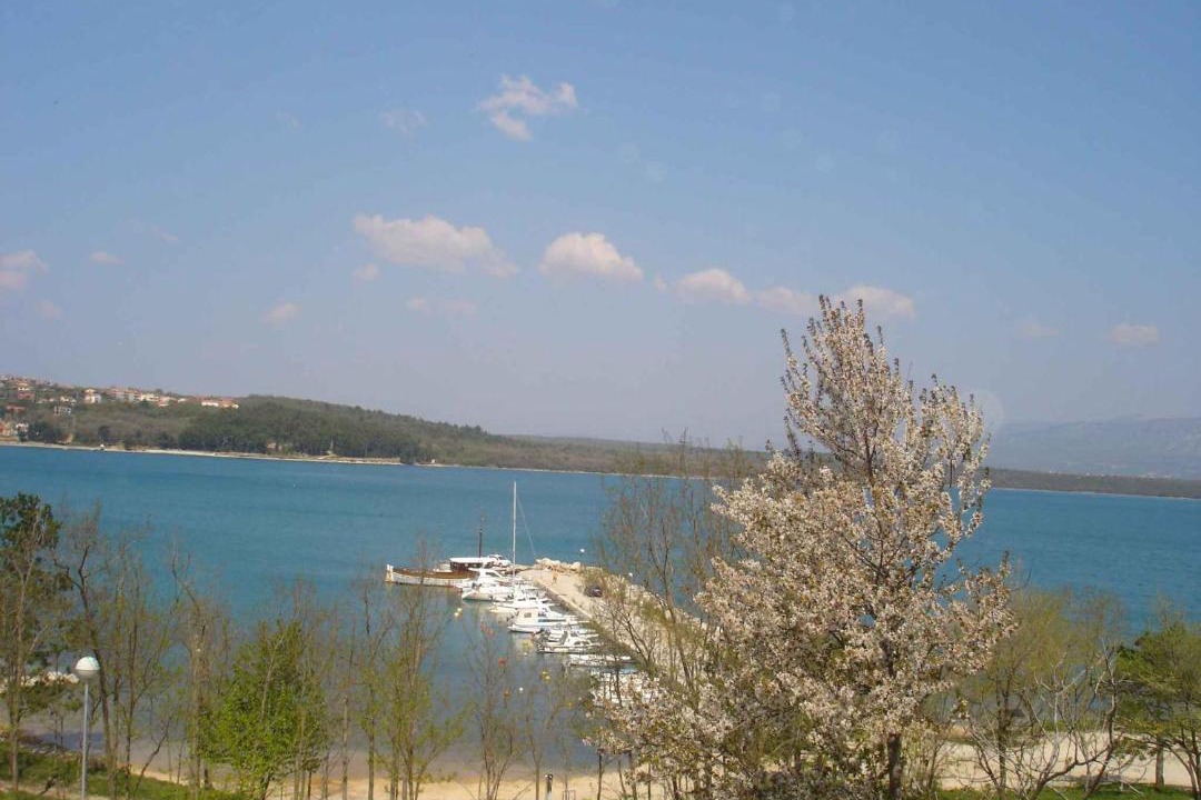 Photo of Others in Soline