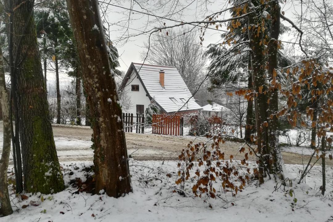 Photo of Others in Karlovac