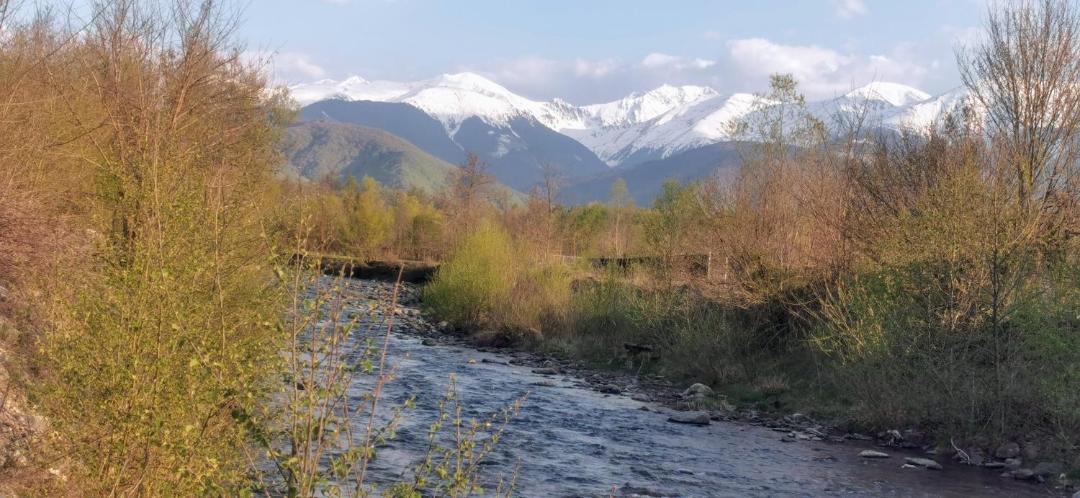 Photo of Outdoor in Avrig
