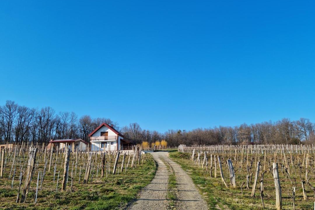 Photo of Others in Kutjevo