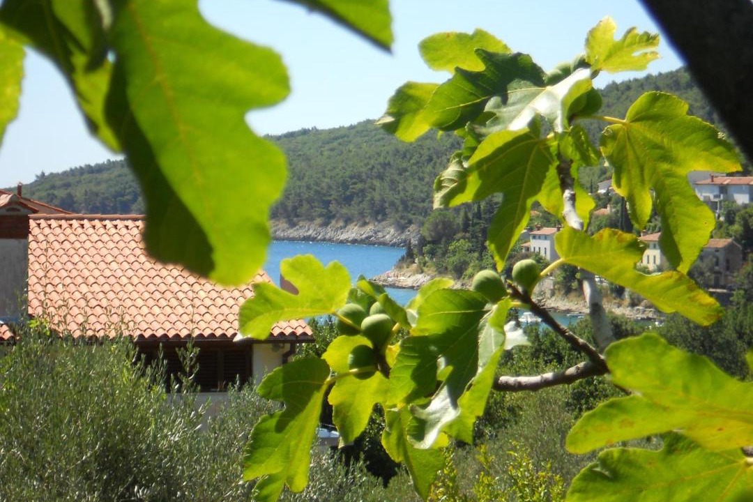 Photo of Others in Sveta Marina