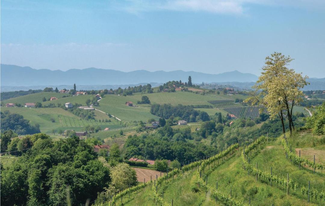 Photo of Others in Strigova