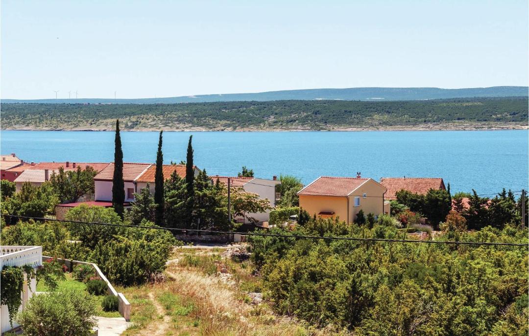 Photo of Others in Maslenica