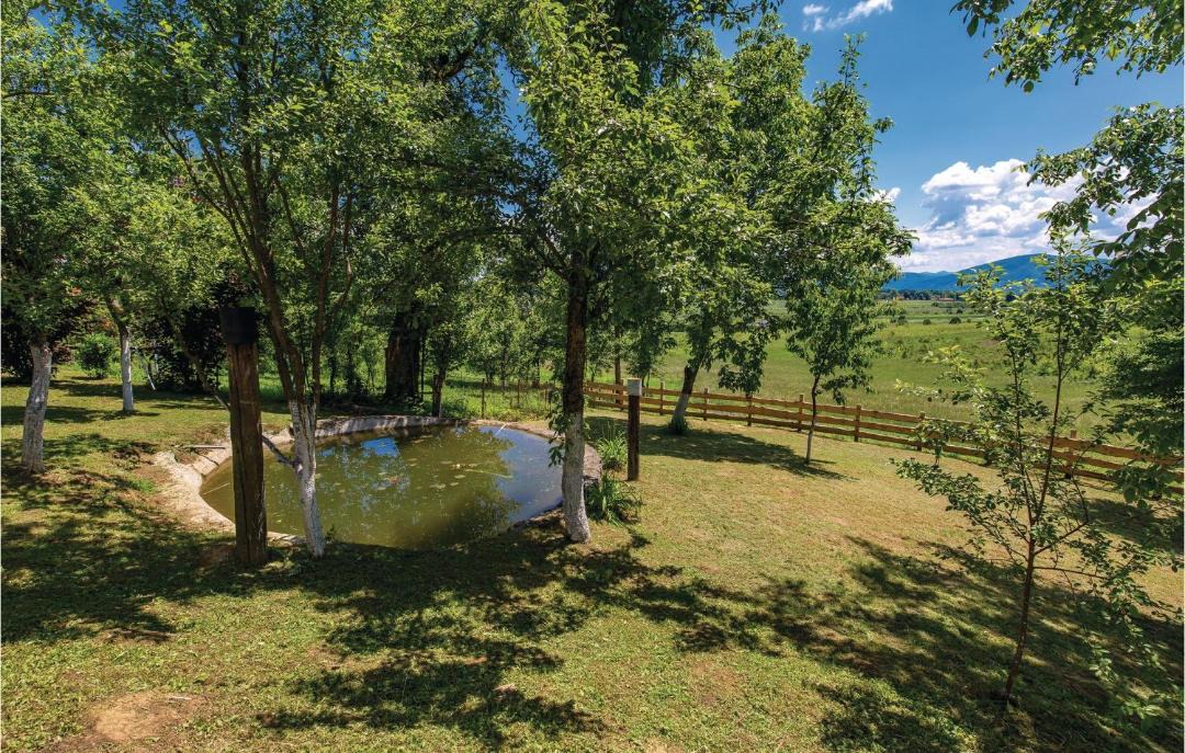 Photo of Outdoor in Plaski