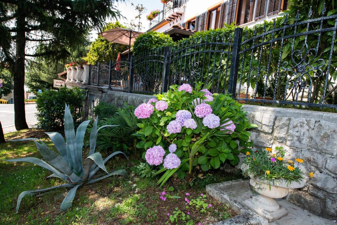 Photo of Others in Volosko