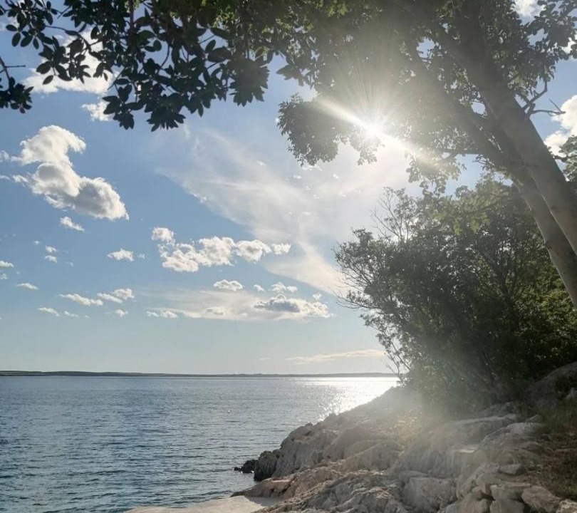 Photo of Others in Starigrad