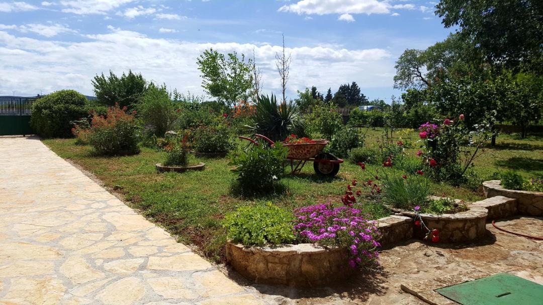 Photo of Others in Sibenik