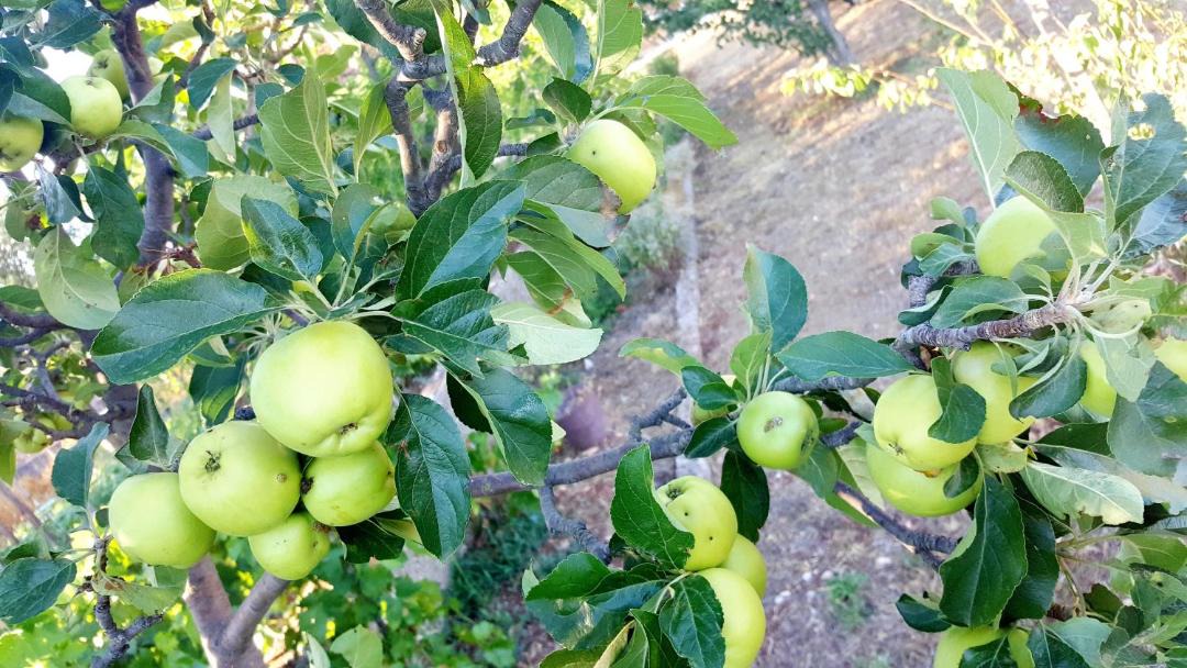 Photo of Outdoor in Sibenik