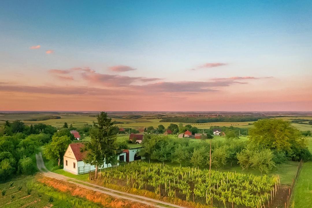 Photo of Others in Municipality of Drenje