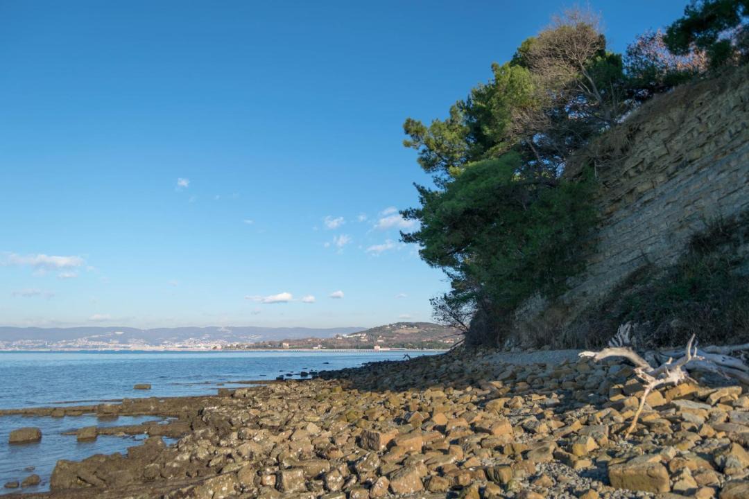 Photo of Others in Koper