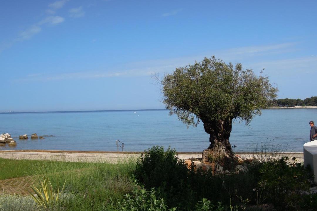 Photo of Others in Monterol