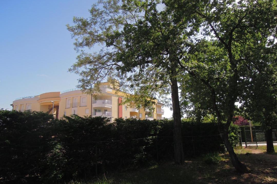Photo of Others in Monterol