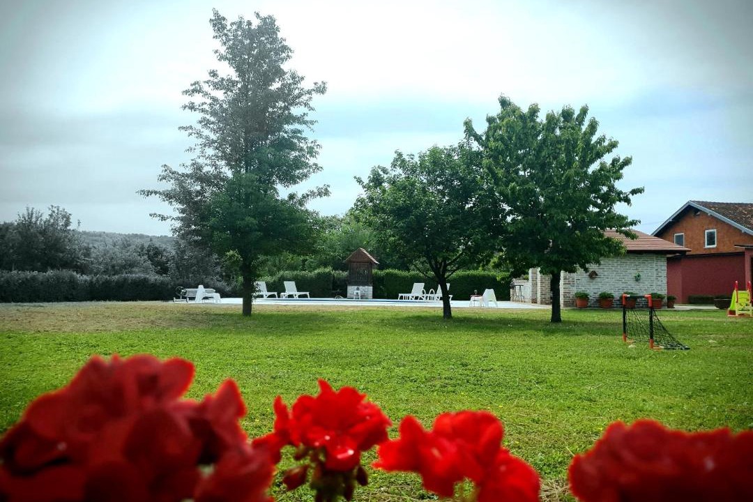 Photo of Others in Popovac