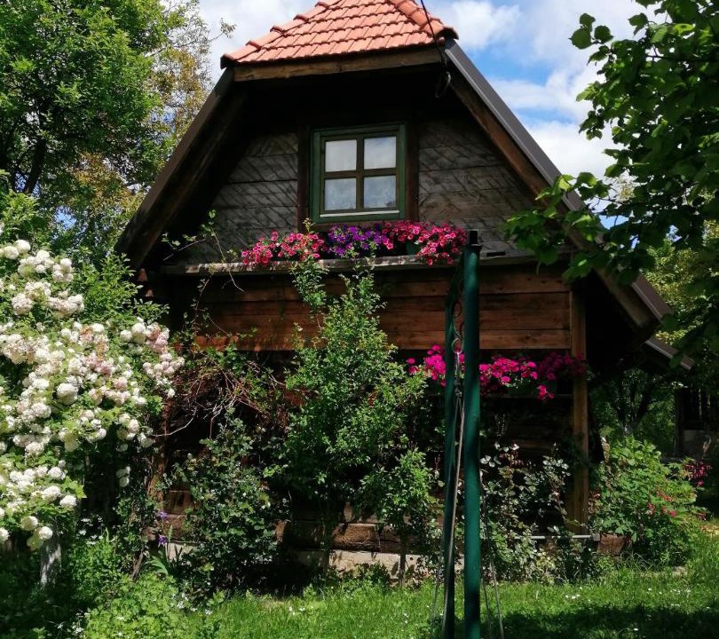 Photo of Others in Uzice