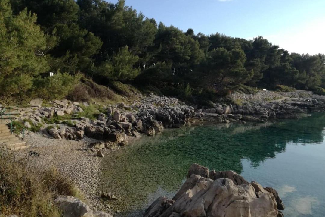 Photo of Others in Cove Murtar