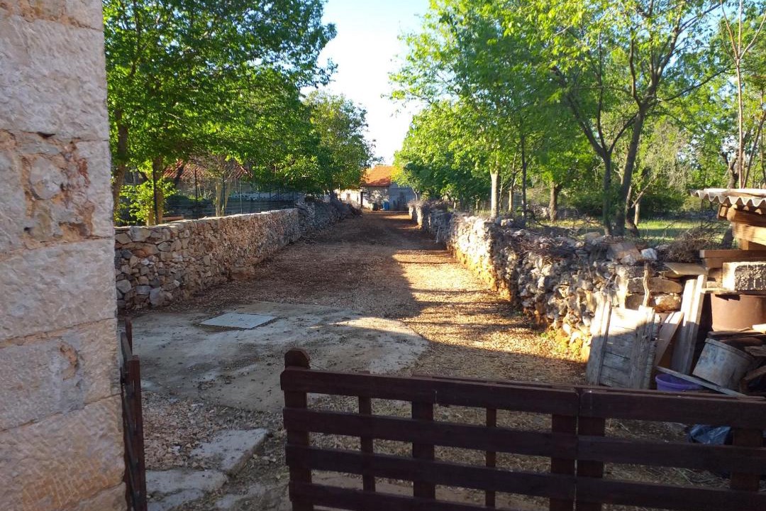 Photo of Others in Sibenik