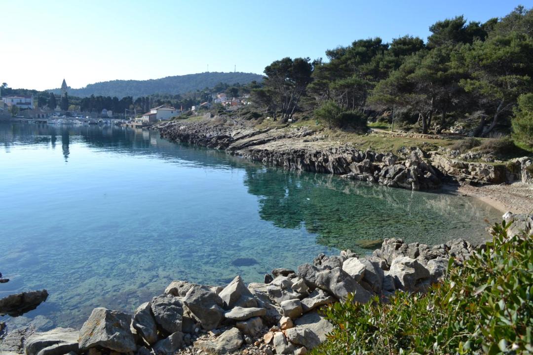 Photo of Others in Cove Murtar
