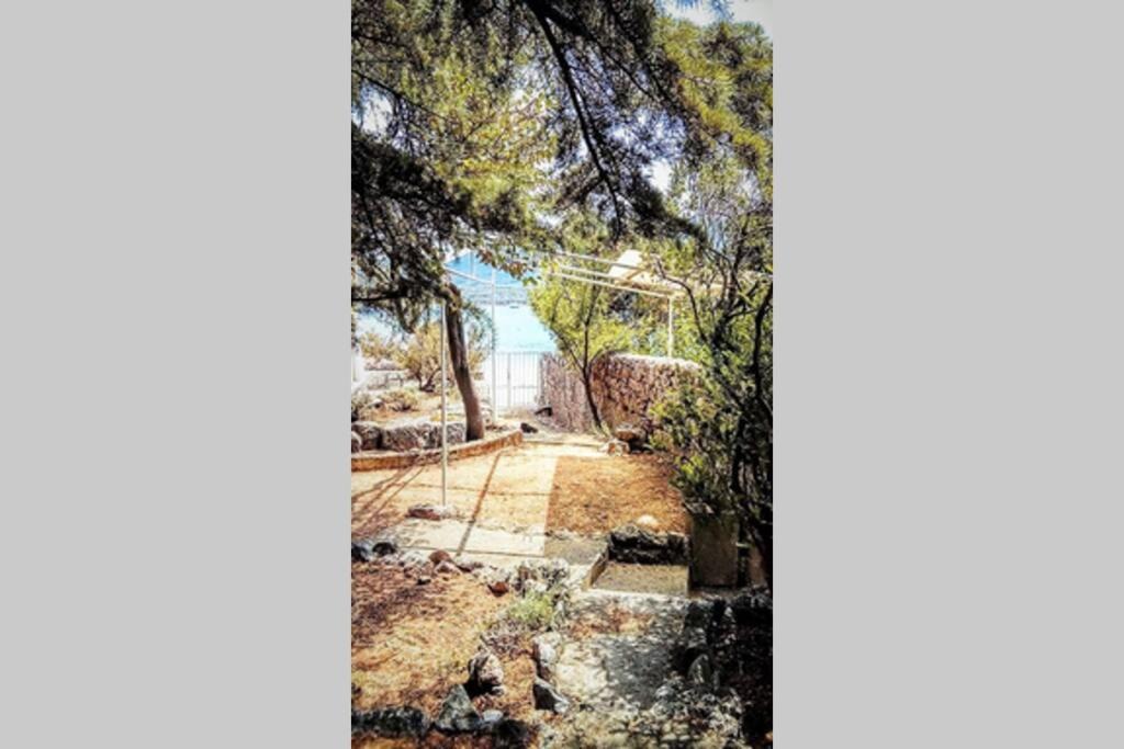 Photo of Others in Cres