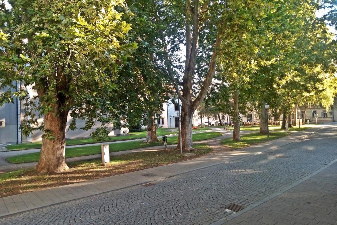 Photo of Others in Varazdin