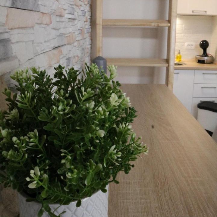 Photo of Kitchen in Zagreb