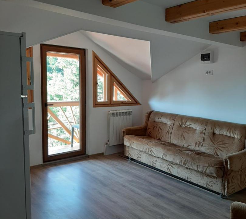Photo of Others in Sarata-Monteoru