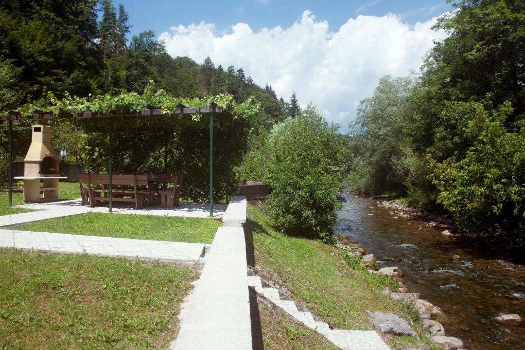 Photo of Others in Zamost