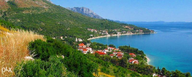 Photo of Others in Zaostrog