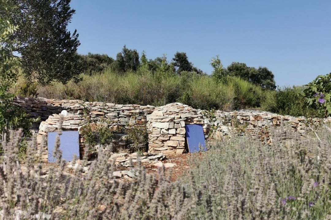 Photo of Others in Loviste