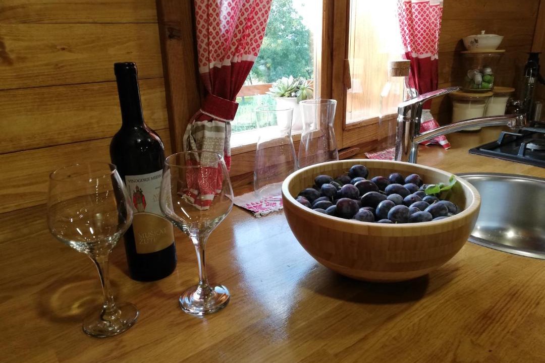 Photo of Kitchen in Sveti Juraj na Bregu
